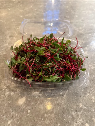 Beet Detroit Dark Red