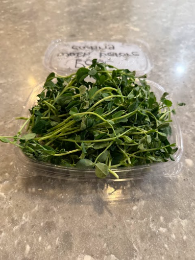Pea Speckled