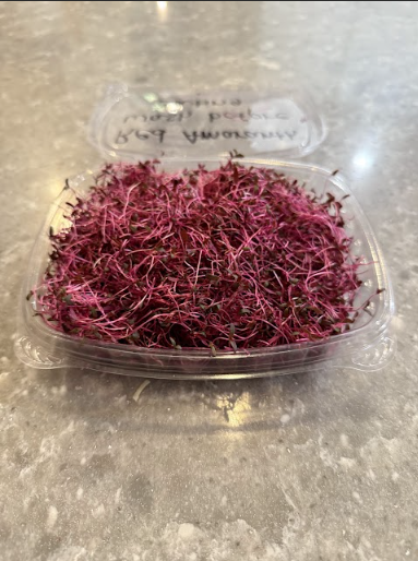 Amaranth Red Garnet